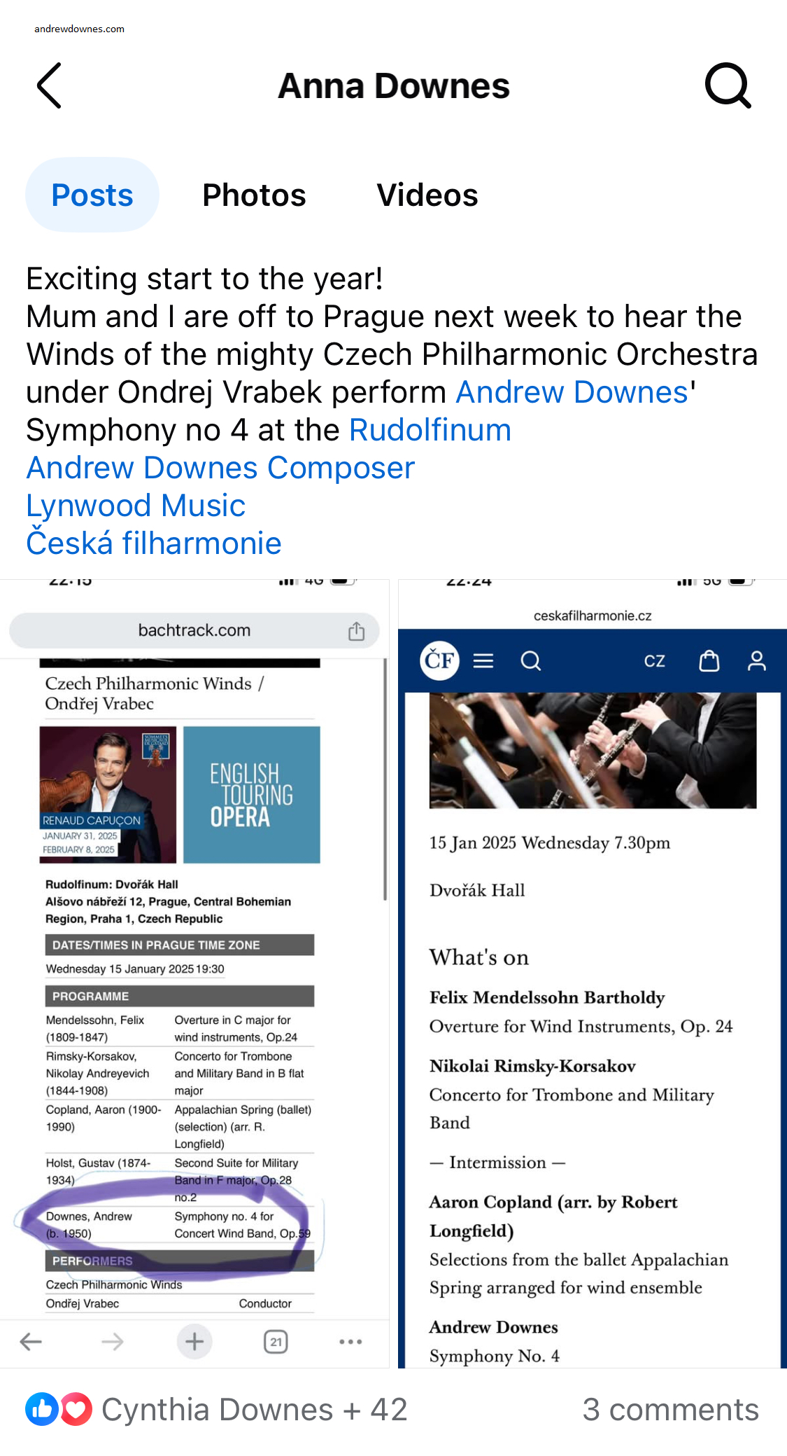 AnnaDownesFacebookJan5thSymph4.png