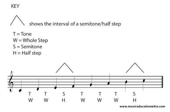 The C Major Scale on the staff with tones/whole steps and semitones/half steps marked in.